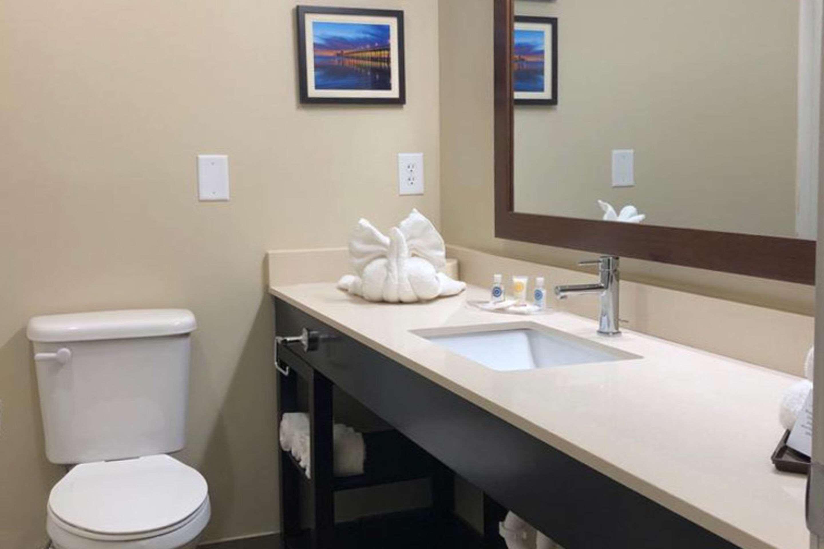 Comfort Suites Near Camp Lejeune Jacksonville Exteriör bild