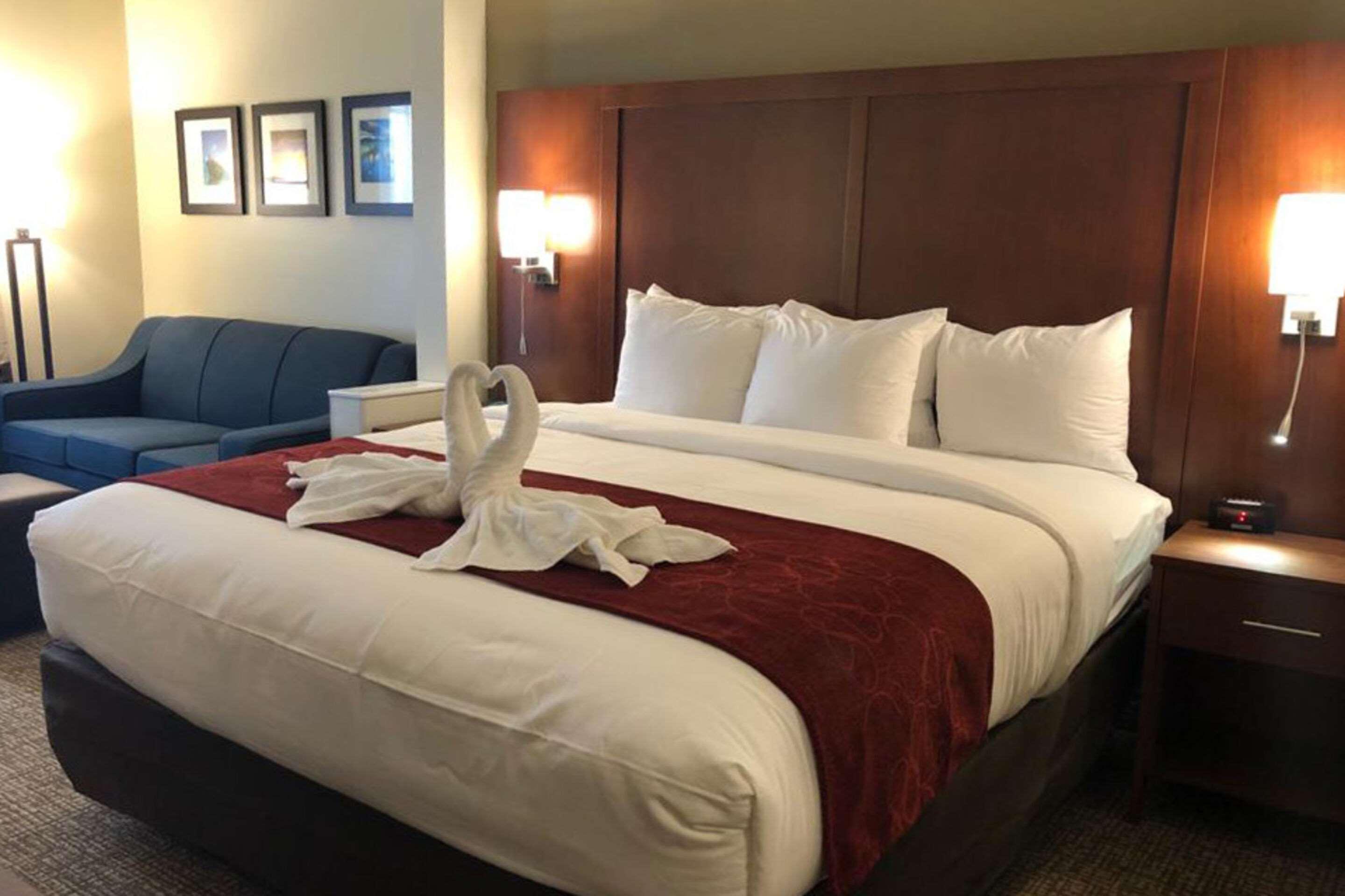 Comfort Suites Near Camp Lejeune Jacksonville Exteriör bild