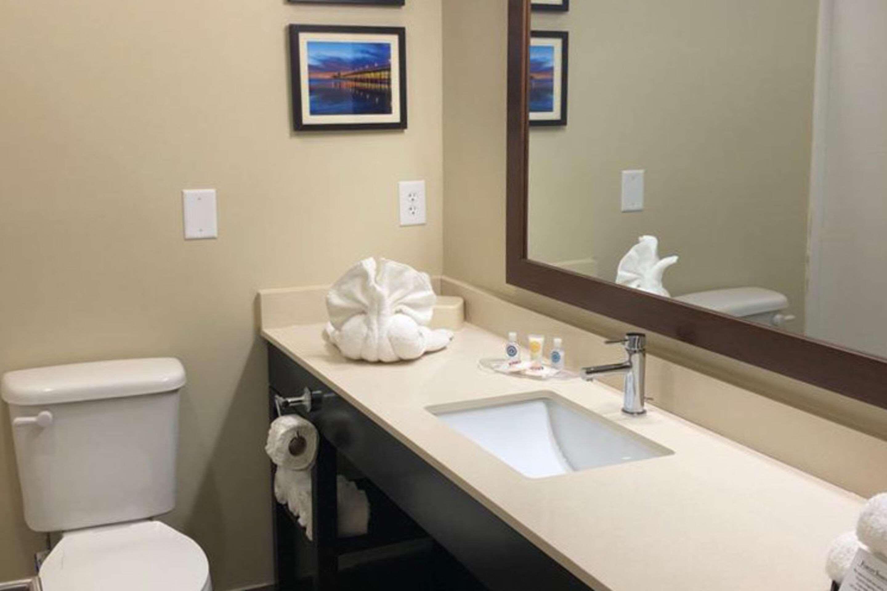 Comfort Suites Near Camp Lejeune Jacksonville Exteriör bild
